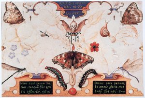 Diptykon med blomster og insekter, 1591. af Joris Hoefnagel