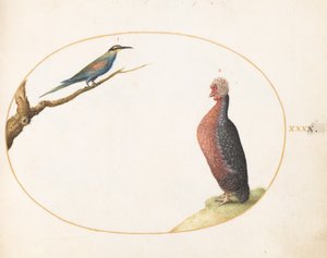  af Joris Hoefnagel