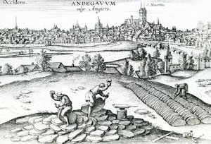 Skiferbrud i Angers, 1561 af Joris Hoefnagel