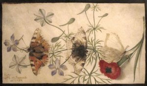 Studier af blomster og sommerfugle af Joris Hoefnagel