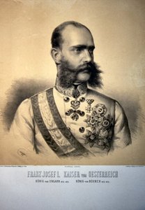Franz Josef I. 1873 Litografi