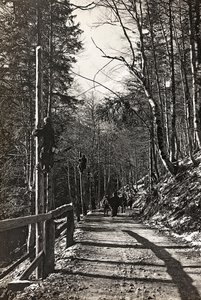 Album "Min verdenskrig - minder om den sydvestlige front i Kärnten, Italien, Trentino-Alto Adige) 31/03/1915-12/11/ 1918 - Josef Zohles Wien ": soldater på arbejde (s/h foto