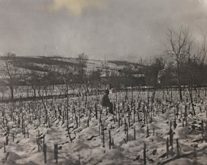 Album "Min verdenskrig - minder om den sydvestlige front i Kärnten, Italien, Trentino-Alto Adige) 31/03/1915-12/11/ 1918 - Josef Zohles Vienna ": militærkirkegård (s/h foto) af Josef Zohles