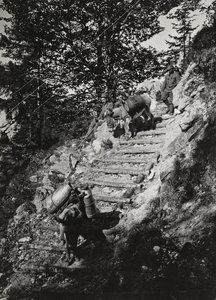 Album "Min verdenskrig - minder om den sydvestlige front i Kärnten, Italien, Trentino-Alto Adige) 31/03/1915-12/11/ 1918 - Josef Zohles Wien ": Hærens muldyr langs en stejl af af Josef Zohles