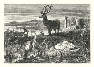 Decay of Earthly Pomp (gravering) af Joseph (after) Wolf