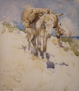 Tanger (wc på papir) af Joseph Crawhall