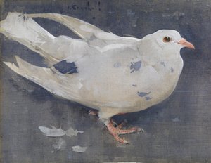 Duen (gouache på linned) af Joseph Crawhall