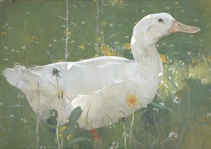 Den hvide drake af Joseph Crawhall