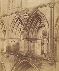 Rievaulx Abbey. Triforiumbuerne, 1850