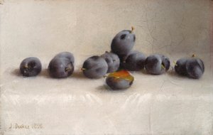 Tolv blommer