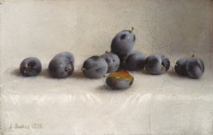 Tolv blommer, 1896