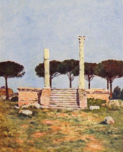 Rom: Ostia, Piazza dei Corporatori (farvelitografi)