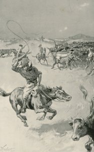 Kvægopdræt i Queensland af Joseph Finnemore