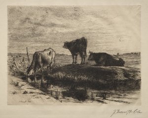 De tre køer.