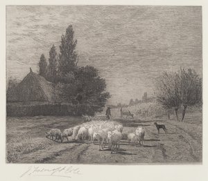 Landsbygade i Frankrig med en flok får
