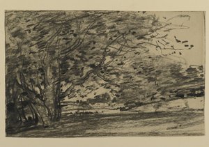 Study of Trees, 1870 (grafit på papir) af Joseph Frank Currier