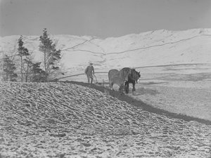 To heste pløjer i Lune-dalen af Joseph Hardman