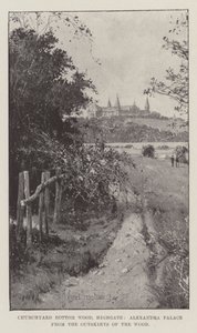 Churchyard Bottom Wood, Highgate, Alexandra Palace fra udkanten af skoven af Joseph Holland Tringham