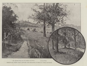 Kirkegården Bottom Wood, Highgate, hvis ødelæggelse er til diskussion af Joseph Holland Tringham
