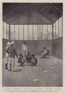 Benin Ekspeditionen af Joseph Holland Tringham