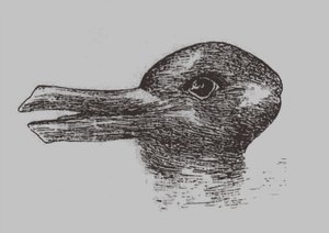 And-kanin illusion. Fra: Jastrow, J. Sindets øje. Popular Science Monthly, 1899 af Joseph Jastrow