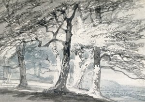 Norbury Park, Surrey (blyant og akvarel på papir) af Joseph Mallord William (attr.to) Turner