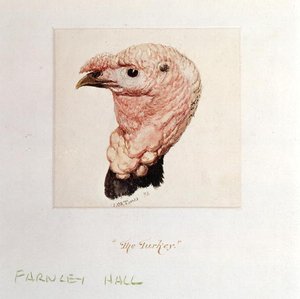 Tyrkiet (akvarel på papir) af Joseph Mallord William Turner