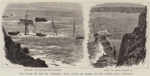 Vraget af SS Suffolk, med kvæg om bord, ved Lizard Head, Cornwall