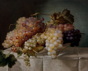 Asetelma viinirypäleillä posliiniastiassa af Joseph Nigg