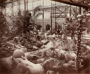 Crystal Palace i London: den tropiske sektion, ca. 1870 (s/h-foto)