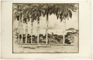 Bishops Walk, Ancon Hill, Panama af Joseph Pennell