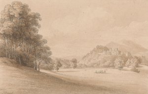 Dunster Castle, Somerset: Viser slottet på afstand