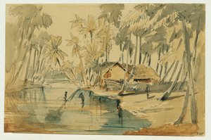 Palmelund i Ceylon (Sri Lanka)
