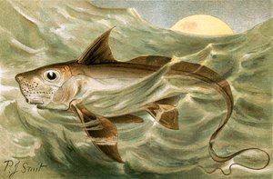 Chimaera af Joseph Smit