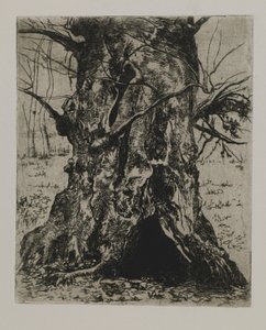 Uden titel - træstamme af Joseph Stella