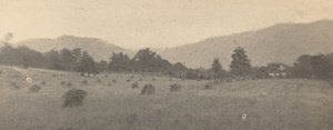 Landskab med træer og bjerge, ca. 1900.