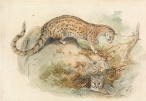 ryttere af Joseph Wolf
