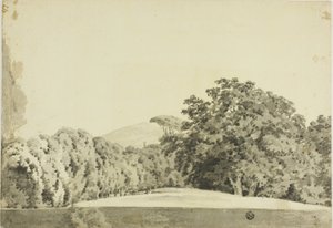 Skovklædt landskab af Joseph Wright of Derby