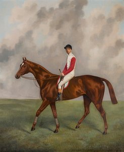 Sir Hugo-vinder af 1892-derbyet, ca. 1892 (olie på lærred) af Joshua Dighton