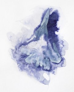 Abstrakt jagerfly af Joshua Hoskins