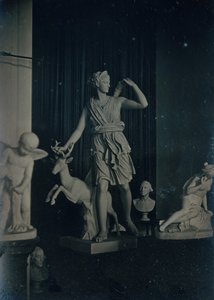 Sculpture Gallery, Boston Athenaeum, ca. 1855. Skaber: Josiah Johnson Hawes, Albert Sands Southworth. af Josiah Johnson Hawes, Albert Sands Southworth