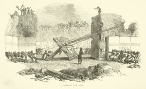 Sænkning af tyren af Josiah Wood Whymper