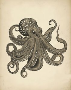 Elegant vintage blæksprutte