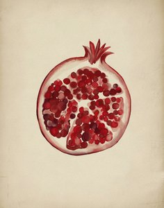 Saftig rød granatæble