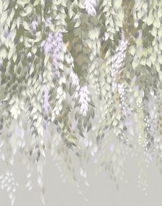 Pastelfarvede blåregnblomster af Josie George