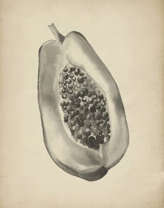 Halv tropisk papaya