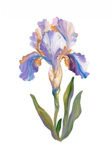 Livlig, malerisk iris af Josie George