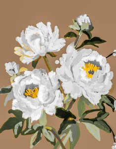 Hvide pæonblomster af Josie George