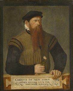 Portræt af en skægget mand, 1565 af Jost Amman