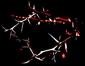 Crown of Thorns, 2015 (overmalet fotografi) af Joy Lions